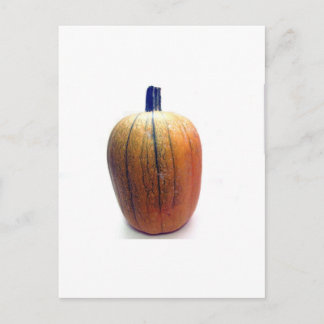 One Orange Pumpkin Postkarte