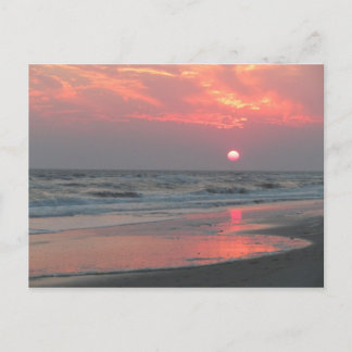 One Perfect Sunset - Eicheninsel, NC Postkarte