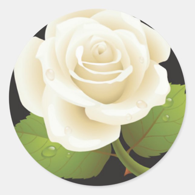 One White Rose Runder Aufkleber (Vorderseite)