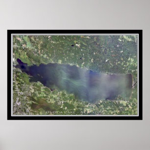 Oneida Lake New York Satellite Poster Karte