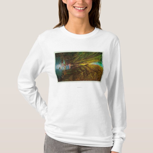 Oneonta Schlucht in Columbia River Schlucht T-Shirt (Vorderseite)