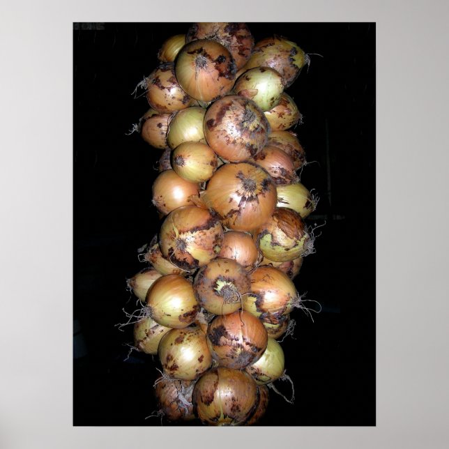 Onions Poster (Vorne)