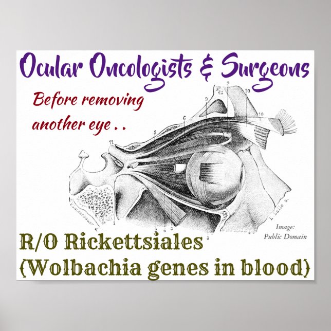 Onkologen/Chirurgen R/O Wolbachia durch Rose Poster (Vorne)