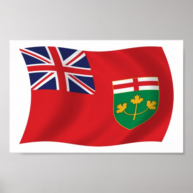 OnlineFlag-Poster drucken Poster (Vorne)