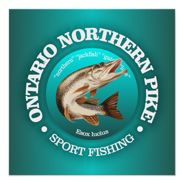 Ontario Pike Fishing Poster (Vorderseite)