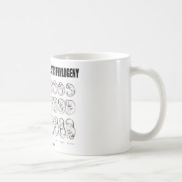 Ontogenie rekapituliert Phylogenese (Biologie) Tasse