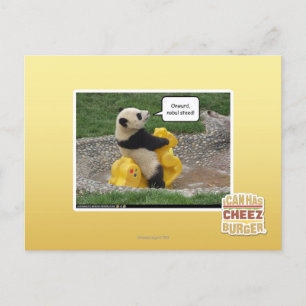 Onwurd, nobul Steed! Postkarte