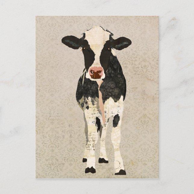 Onyx & Ivory Cow Postkarte (Vorderseite)