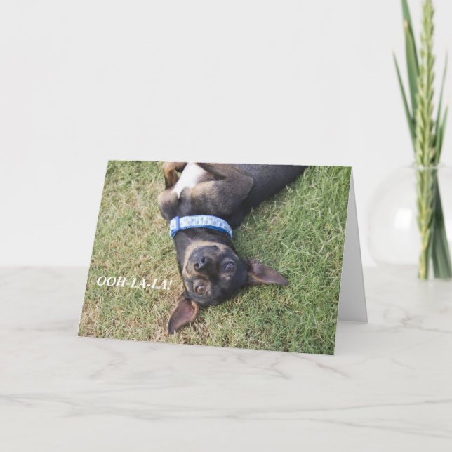 Ooh-la-la-Chihuahua Birthday Card Karte (Vorderseite)
