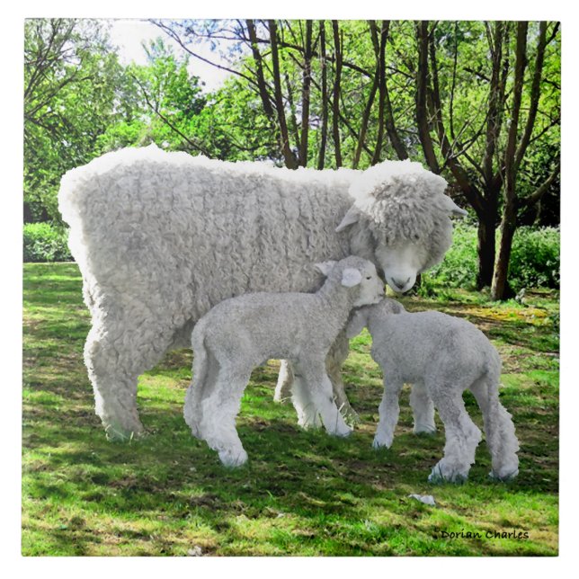 "Oona & Ihre Twins" Fliese (Vorderseite)