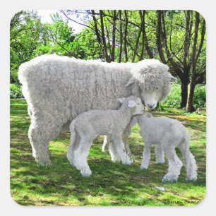 "Oona & Ihre Twins" Quadratischer Aufkleber