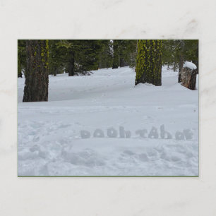 Oooh Tahoe Postkarte