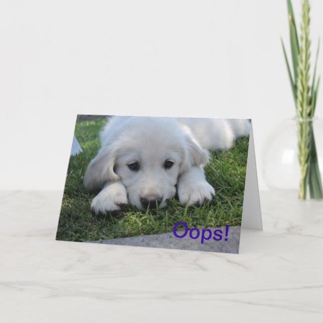 Oops, es tut mir leid Entschuldigungskarte Karte (Vorderseite)