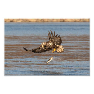 Oops, hab's fallen lassen. fotodruck