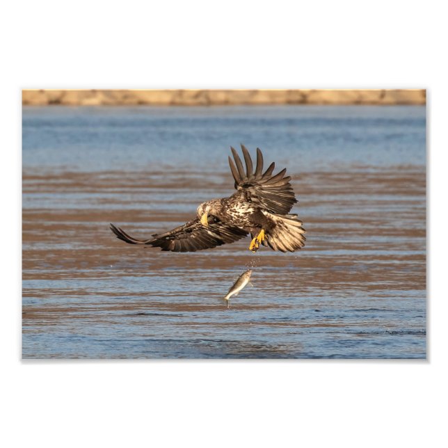 Oops, hab's fallen lassen. fotodruck (Vorne)