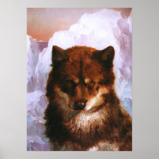 Oosisoak Artic Doster Poster