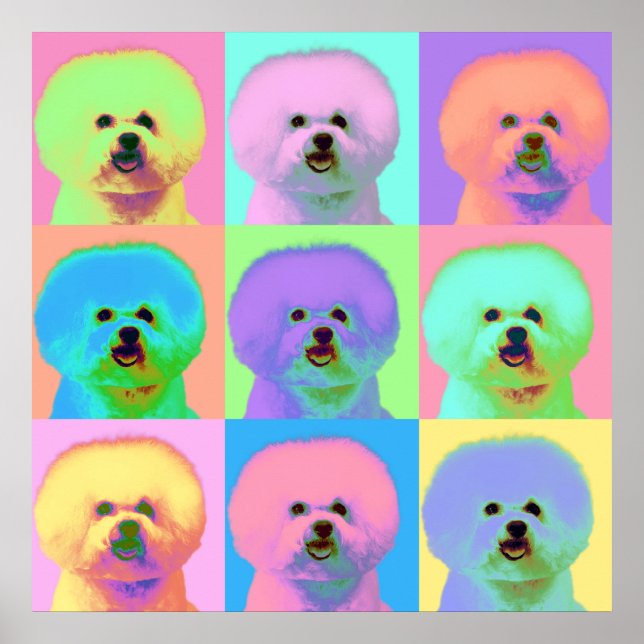 Op Art - Bichon Frise - Cody Poster (Vorne)