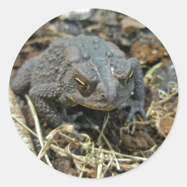 Opa Toad Sticker (Vorderseite)