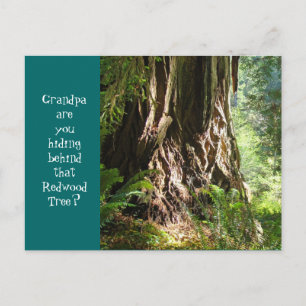 Opa versteckst du dich hinter diesem Redwood-Baum? Postkarte