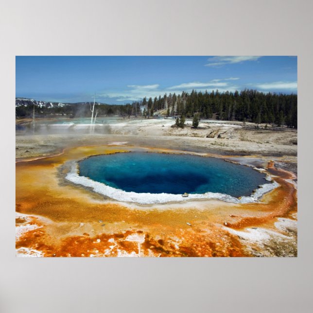 Opal Pool Poster (Vorne)