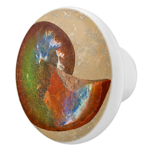 Opalized Sphenodiscus Lenticularis Ammonit-Griffe Keramikknauf