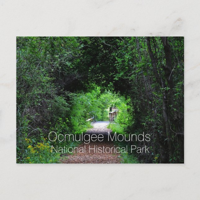 Opelofa Trail, Ocmulgee Mounds, GA Postkarte (Vorderseite)
