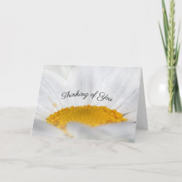 Open Face White Daisy Denken Sie an Ihr Beileid Karte
