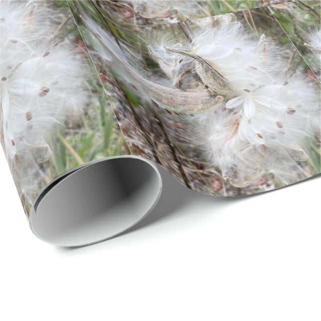 Open Milkweed Pods | Samen mit Seide | Geschenkpapier (Rolleneckpunkt)
