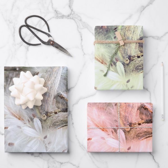 Open Milkweed Pods | Samen mit Seide | Geschenkpapier Set (Vorderseite)