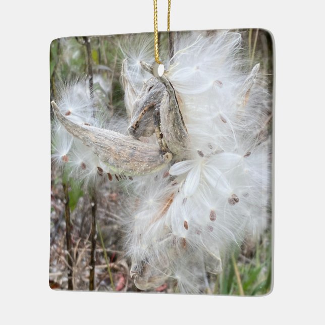 Open Milkweed Pods | Samen mit Seide | Keramikornament (Links)