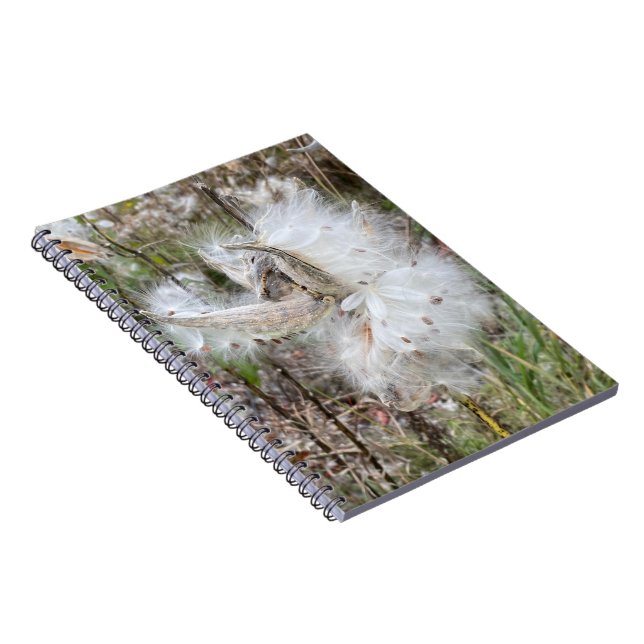 Open Milkweed Pods | Samen mit Seide | Spirale Notizblock (Rechte Seite)