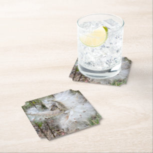 Open Milkweed Pods Samen mit Seide Untersetzer