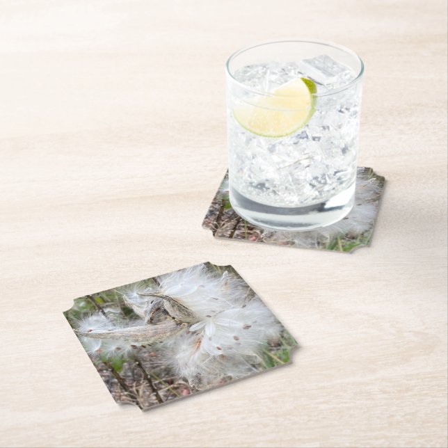 Open Milkweed Pods | Samen mit Seide | Untersetzer (Vor Ort)