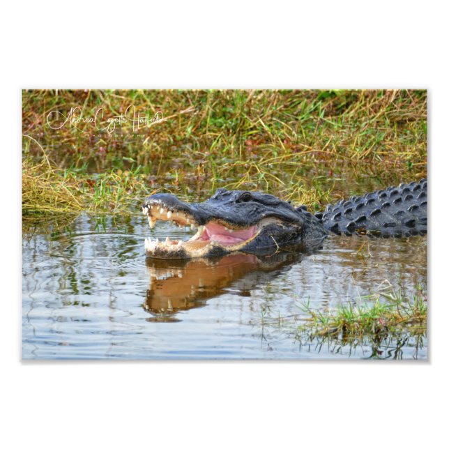 Open Mouth Fotodruck (Vorne)