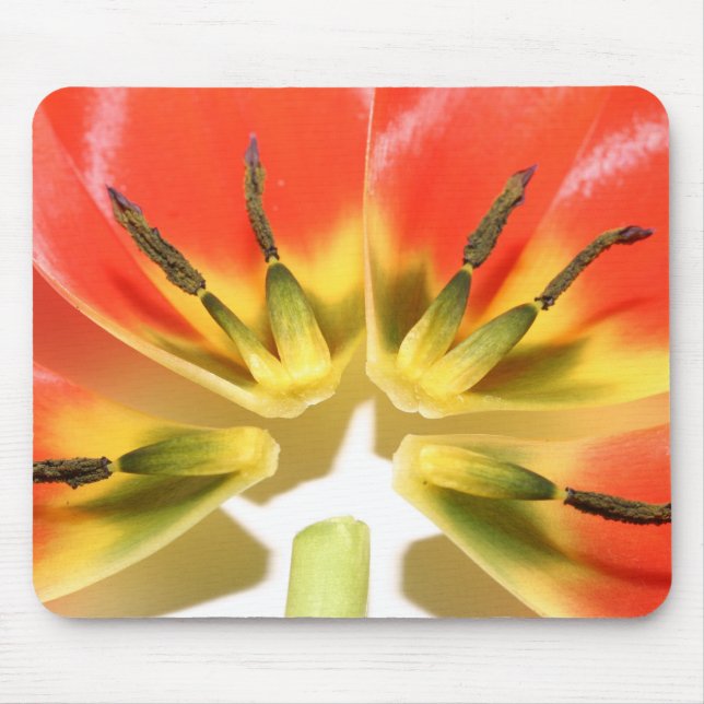 Open Re--konstruierte rote Tulpe Mousepad (Vorne)