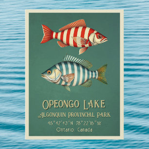 Opeongo Lake Ontario Kanada Fisch Postkarte