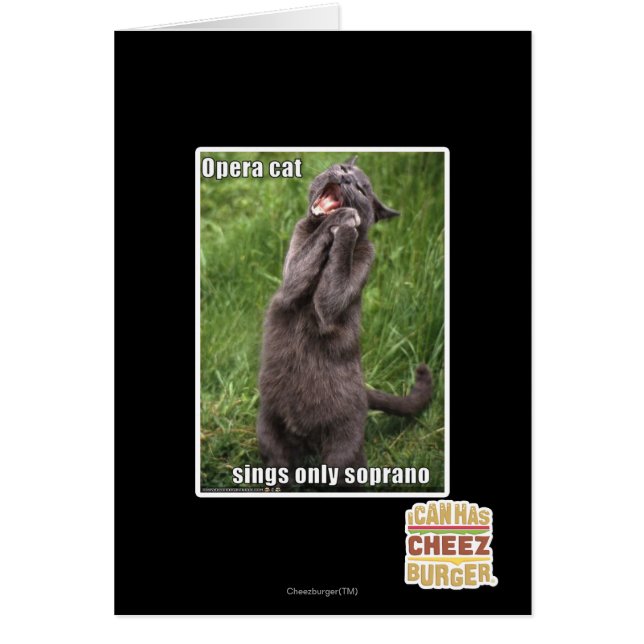 Opera Cat (Vorne)