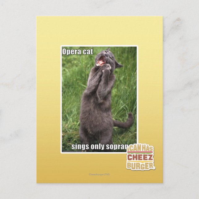 Opera Cat Postkarte (Vorderseite)