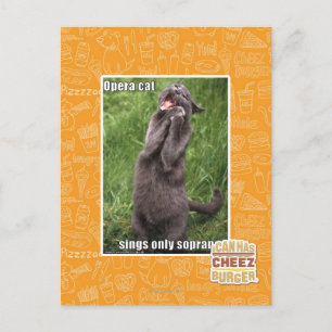 Opera Cat Postkarte