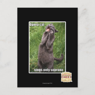 Opera Cat Postkarte