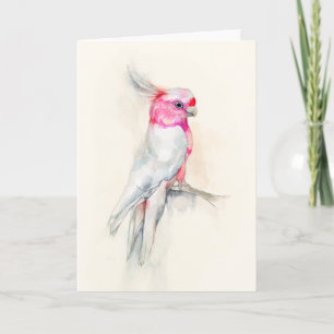 Opera Cockatoo Karte