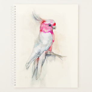Opera Cockatoo Planer