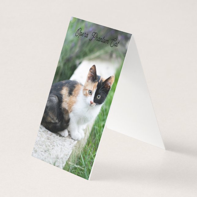 Opera Phantom Cat (Rückseite)