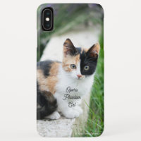 Opera Phantom Cat