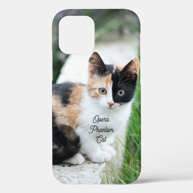 Opera Phantom Cat Case-Mate iPhone Hülle (Rückseite)