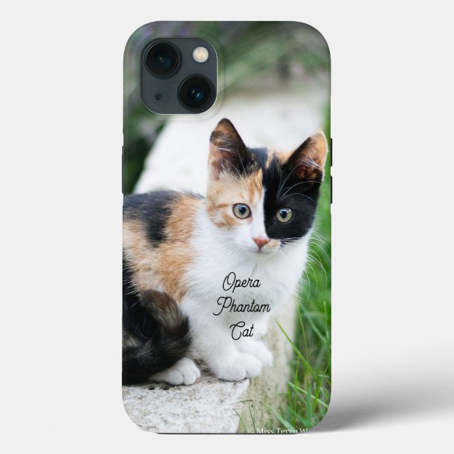 Opera Phantom Cat Case-Mate iPhone Hülle (Rückseite)