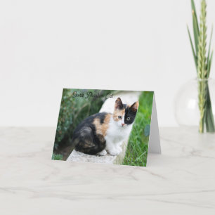 Opera Phantom Cat Einladung