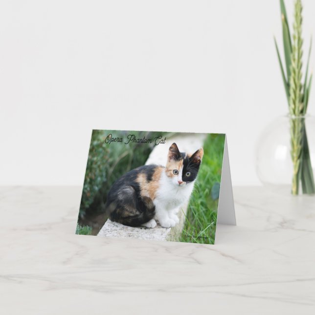 Opera Phantom Cat Einladung (Vorderseite)