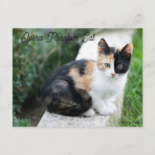 Opera Phantom Cat Einladungspostkarte