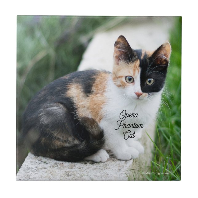 Opera Phantom Cat Fliese (Vorderseite)